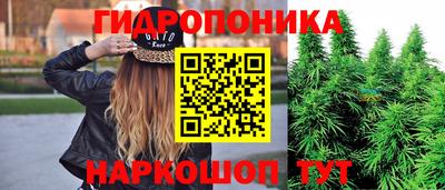 круглые Краснознаменск